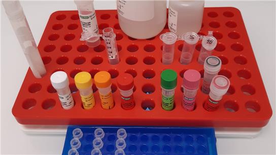 Cutting edge Legionella testing and treatment technologies